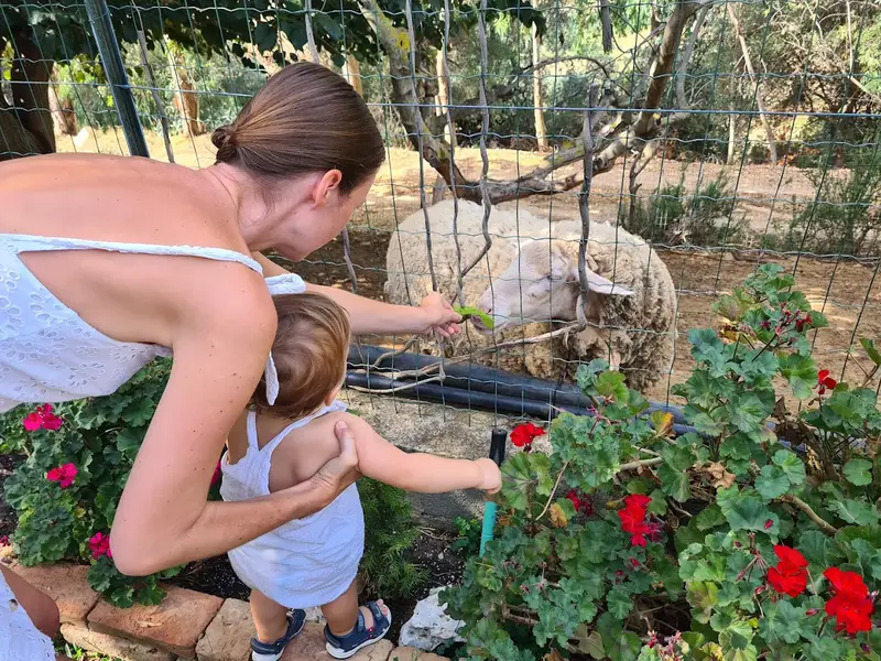 Momenti di interazione quotidiana con gli animali da cortile in tenuta