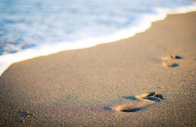 Spiagge della costa ionica lucana