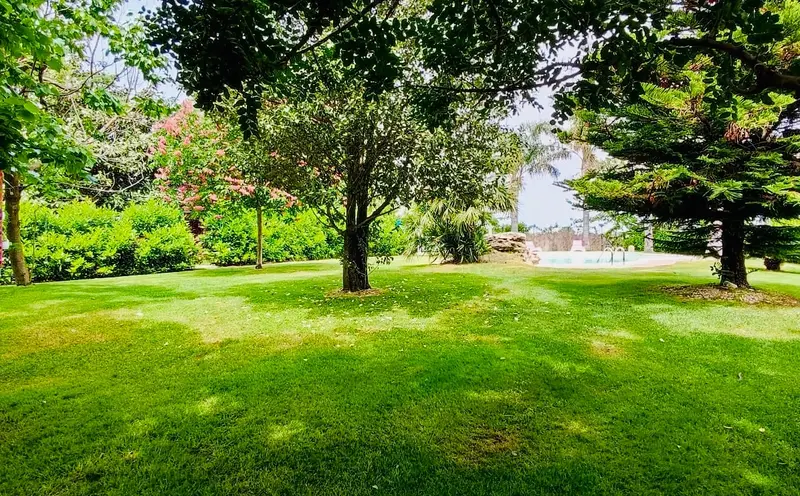 I vialetti interni del giardino botanico curato da Giuseppe